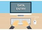 Data Entry Projects