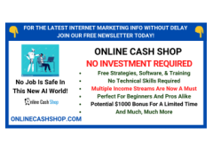 $1000 Bonus Towards Your Online Business!